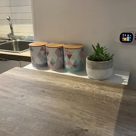Saia's Flat * 로마